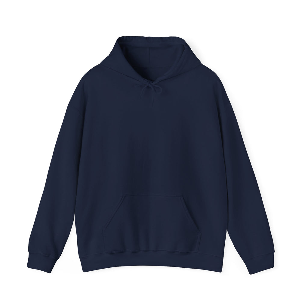 Cute "You Got This" Hoodie — Inspirational Paper Airplane World Map Sweatshirt