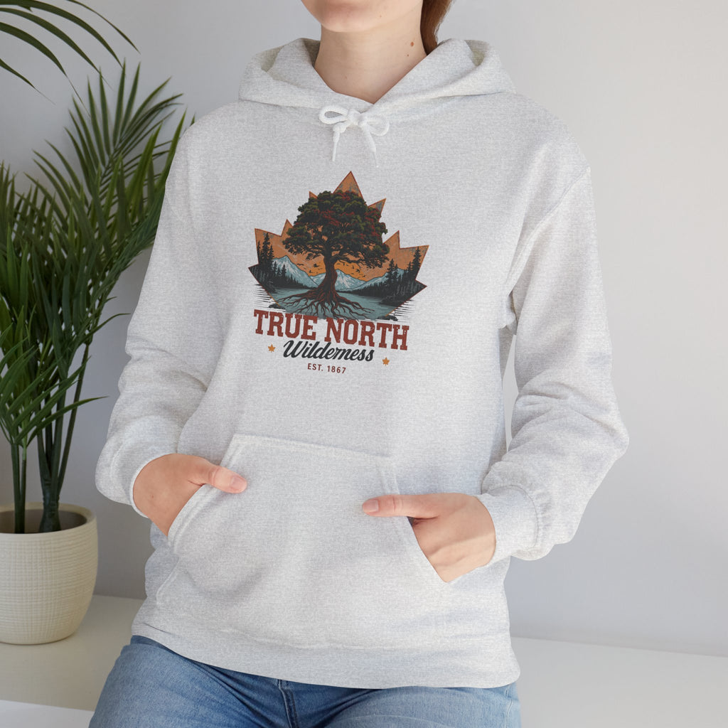 Cute "True North" Hoodie — Inspirational Sweatshirt