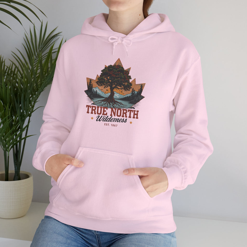Cute "True North" Hoodie — Inspirational Sweatshirt