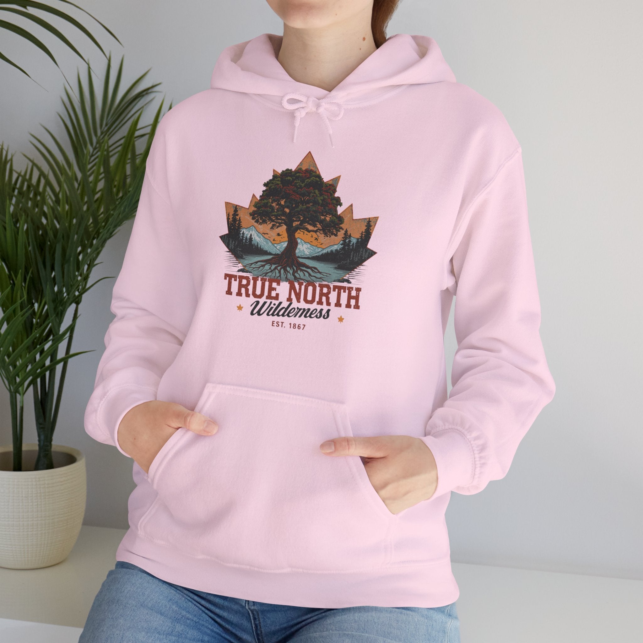 Cute "True North" Hoodie — Inspirational Sweatshirt