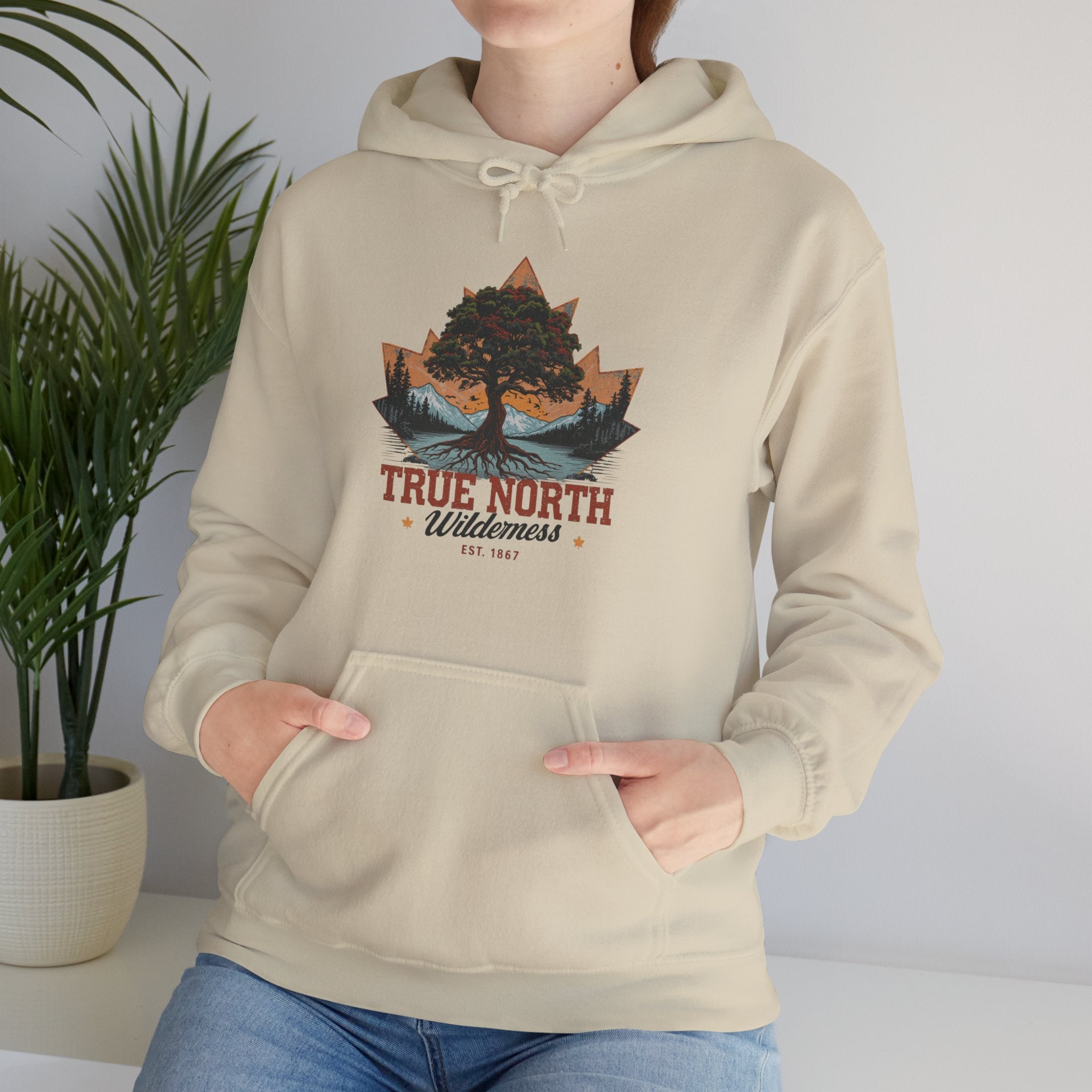 Cute "True North" Hoodie — Inspirational Sweatshirt