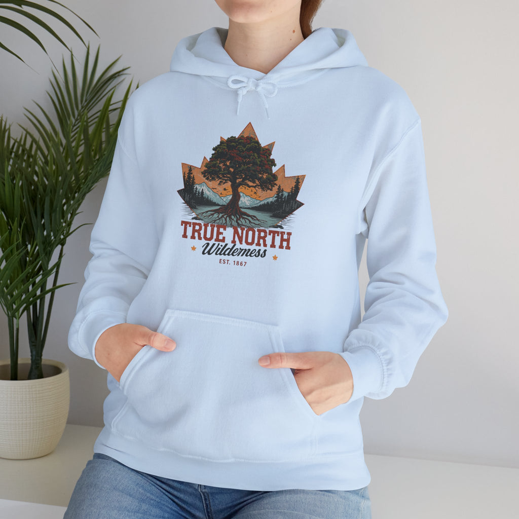 Cute "True North" Hoodie — Inspirational Sweatshirt