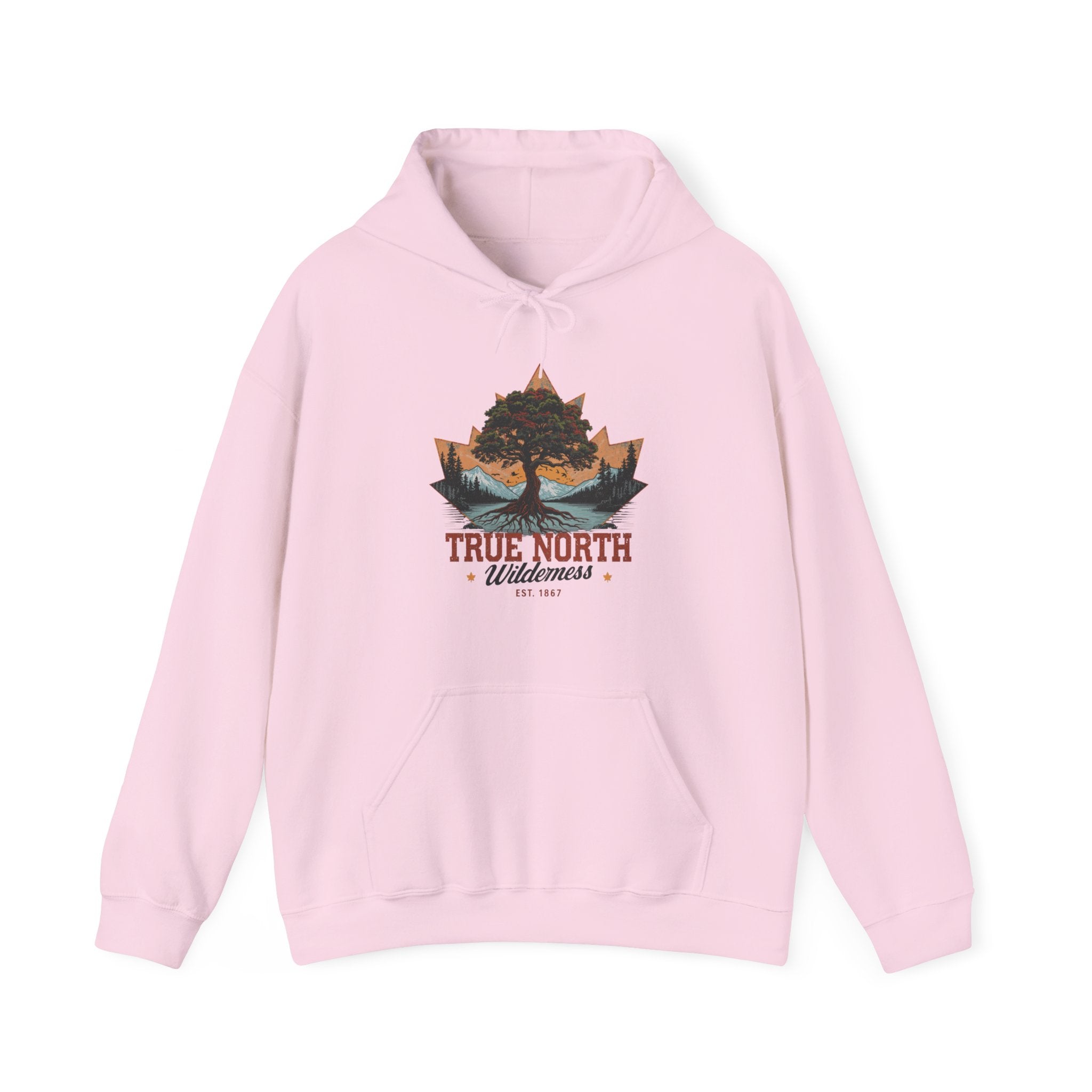 Cute "True North" Hoodie — Inspirational Sweatshirt