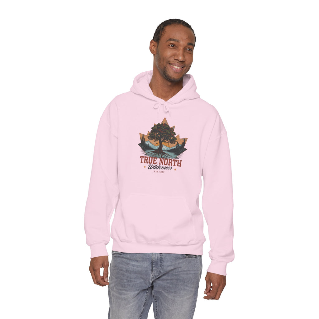 Cute "True North" Hoodie — Inspirational Sweatshirt
