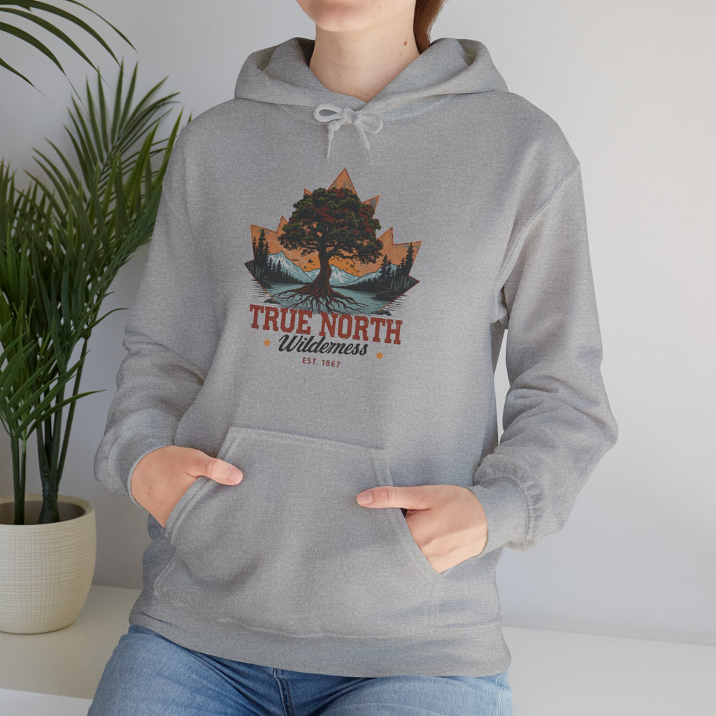 Cute "True North" Hoodie — Inspirational Sweatshirt