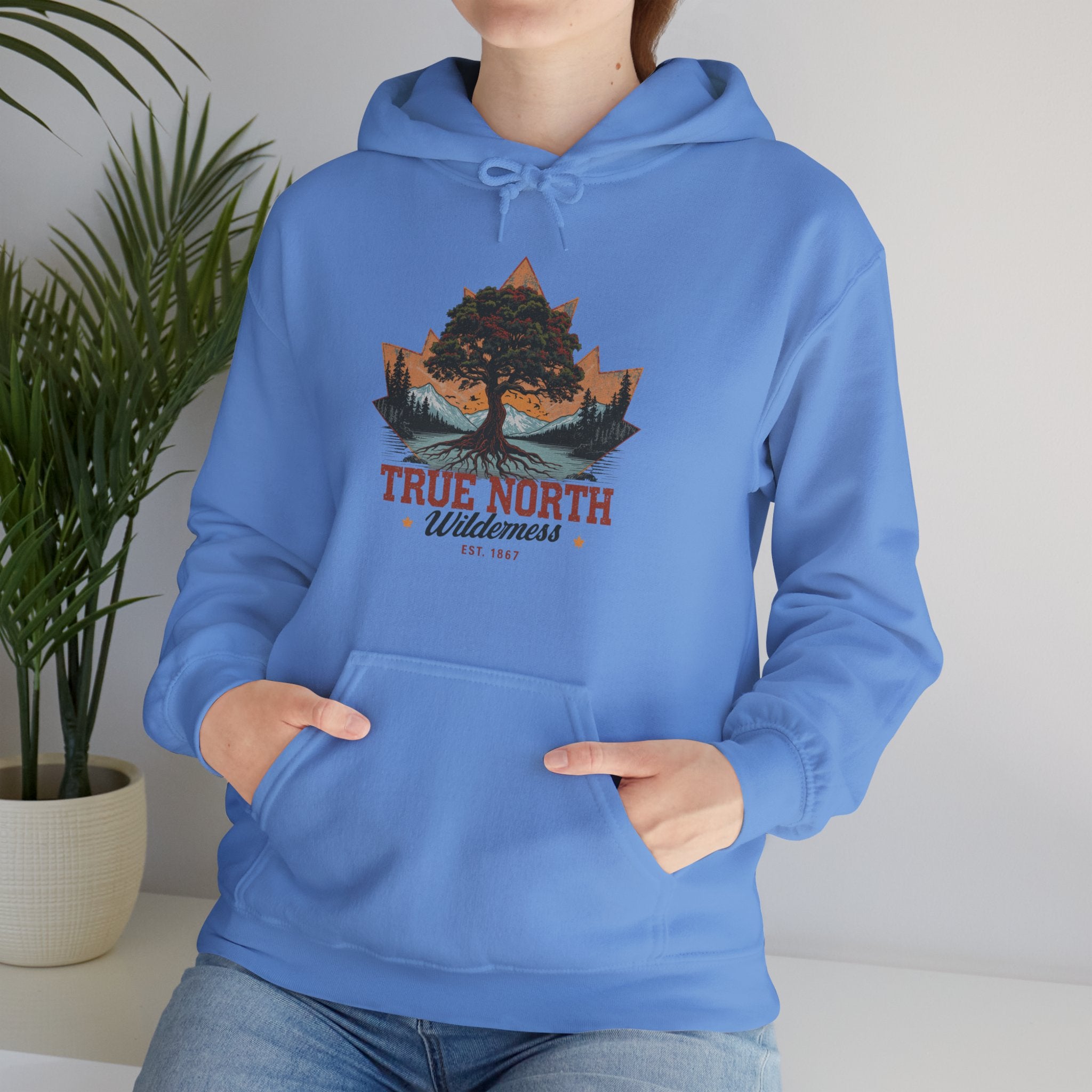 Cute "True North" Hoodie — Inspirational Sweatshirt