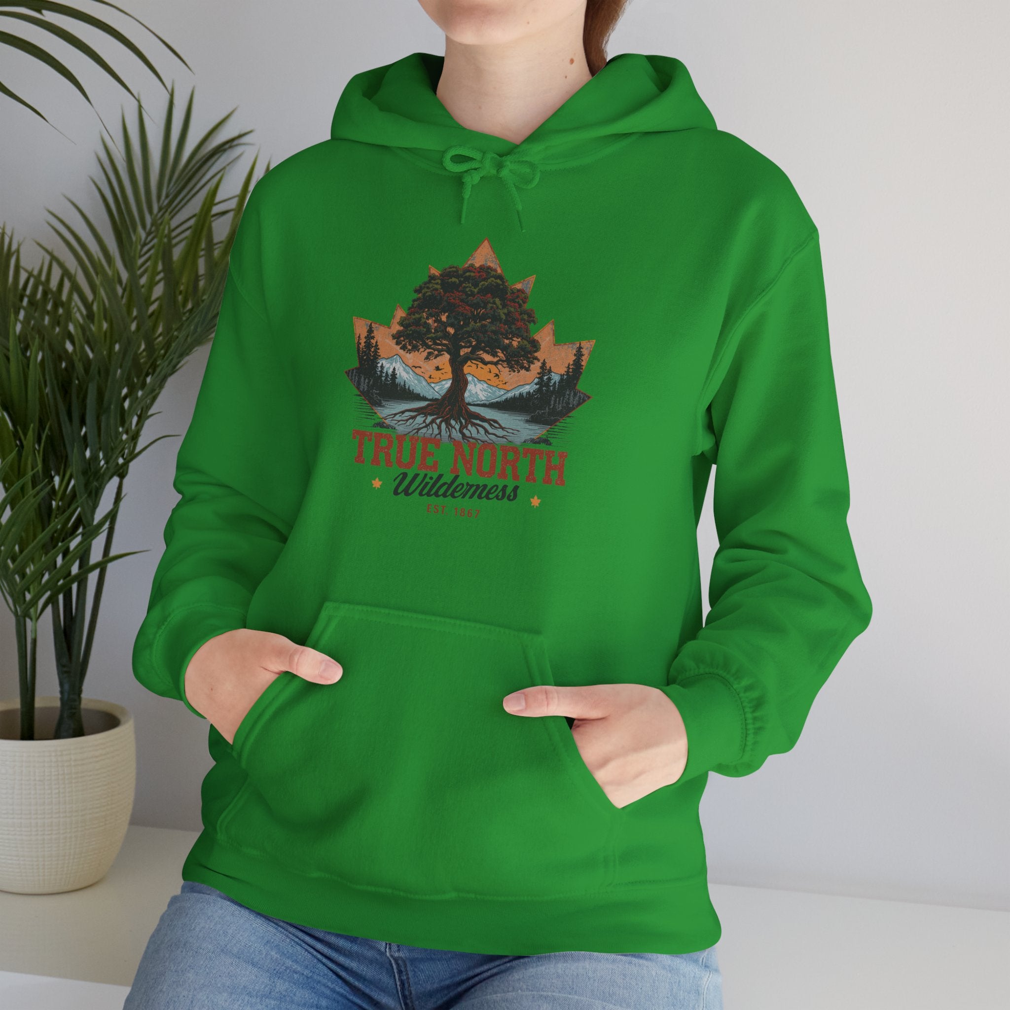 Cute "True North" Hoodie — Inspirational Sweatshirt