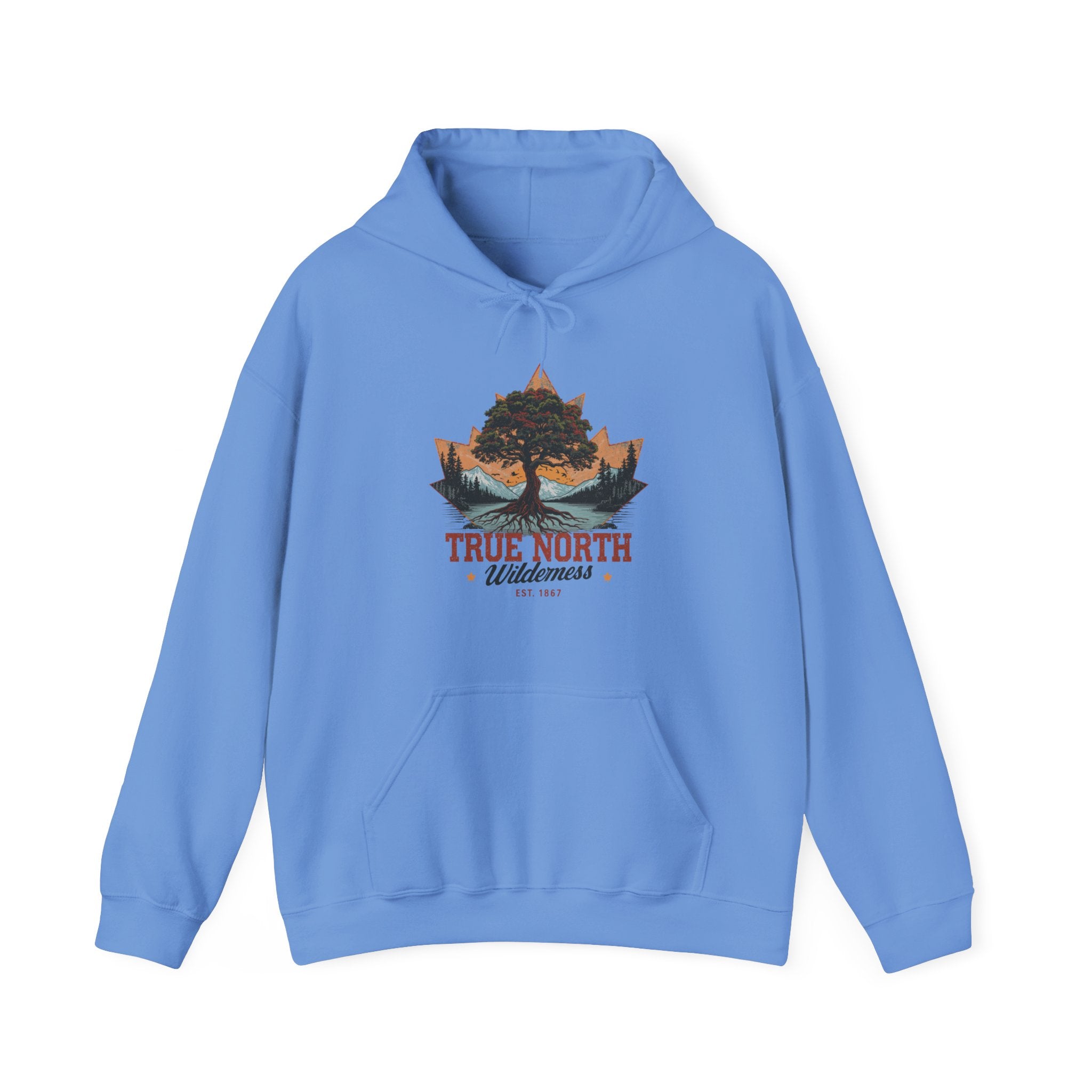 Cute "True North" Hoodie — Inspirational Sweatshirt